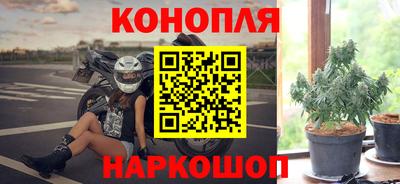 Альфа ПВП Ставрополь