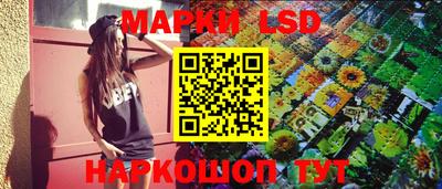 Альфа ПВП Ставрополь