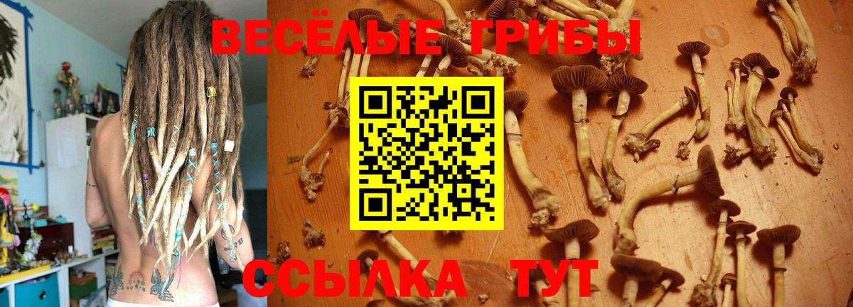 Псилоцибиновые грибы ЛСД  Псилоцибиновые грибы Cubensis  Вход с VPN  Артёмовский 